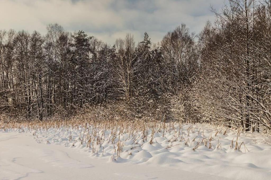 Trojmiasto Nad Jeziorem Dom -Echochata Kamień Esterno foto