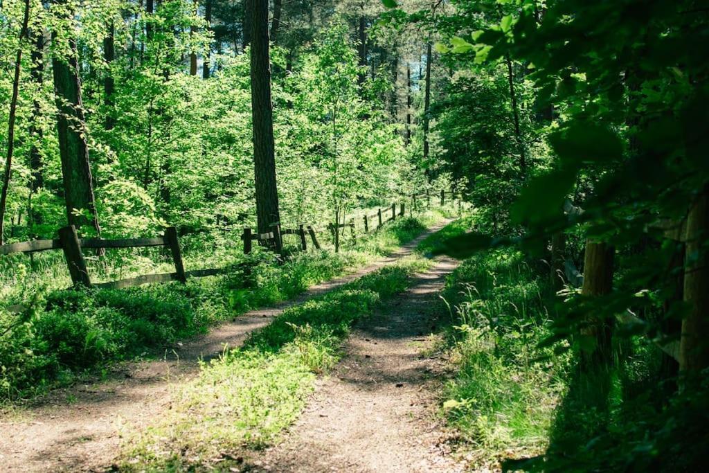 Trojmiasto Nad Jeziorem Dom -Echochata Kamień Esterno foto